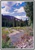FR10124, Little Greys River, WY FR10124, Little Greys River, WY