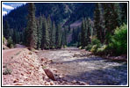 FR10138, Greys River, WY FR10138, Greys River, WY