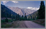 FR058/Bear Creek Rd, WY FR058/Bear Creek Rd, WY