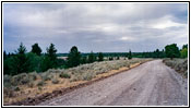 FR218, ID FR218, ID