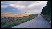 FR218, ID FR218, ID
