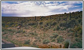 Pronghorn, Big Sandy Elkhorn Rd, WY Pronghorn, Big Sandy Elkhorn Rd, WY