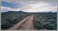 Elkhorn Cutoff Rd, WY Elkhorn Cutoff Rd, WY
