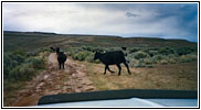 Lander Pinedale Stage Rd, WY Lander Pinedale Stage Rd, WY