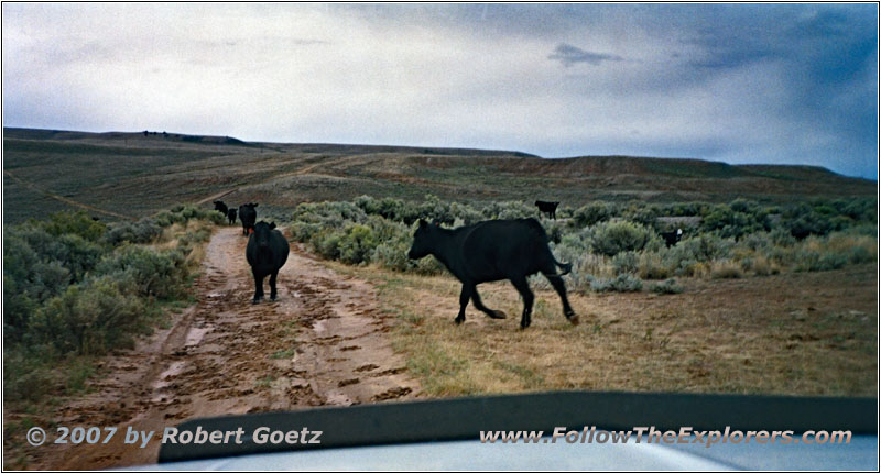 Lander Pinedale Stage Rd, WY Lander Pinedale Stage Rd, WY