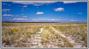 Emigrant Trail Rd/RD319, WY Emigrant Trail Rd/RD319, WY