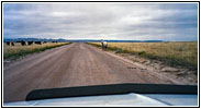 Horses, Backroad, WY Horses, Backroad, WY