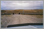 Cottonwood Rd, WY Cottonwood Rd, WY