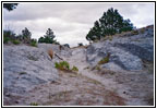 Oregon Trail Ruts/Guernsey Ruts, WY Oregon Trail Ruts/Guernsey Ruts, WY