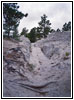 Oregon Trail Ruts, WY Oregon Trail Ruts, WY
