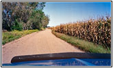 Backroad, NE Backroad, NE