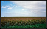 Backroad, NE Backroad, NE