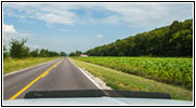 Highway 45, MO Highway 45, MO