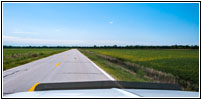 N 252nd St, NE N 252nd St, NE