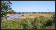 Elm Island Rd, South Platte River, NE Elm Island Rd, South Platte River, NE