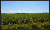 Backroad, NE Backroad, NE