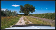 Wahlgren Rd, NE Wahlgren Rd, NE
