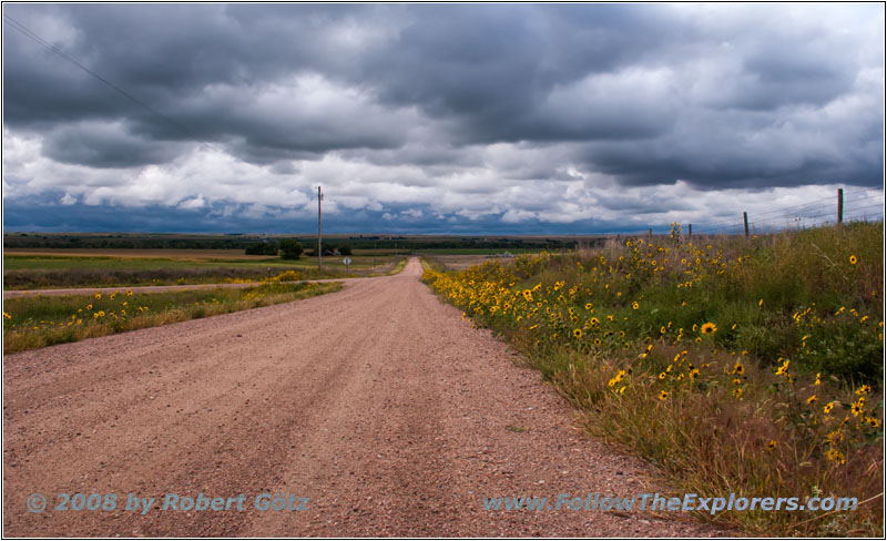 Rd West M N/W County Rd 55, NE Rd West M N/W County Rd 55, NE