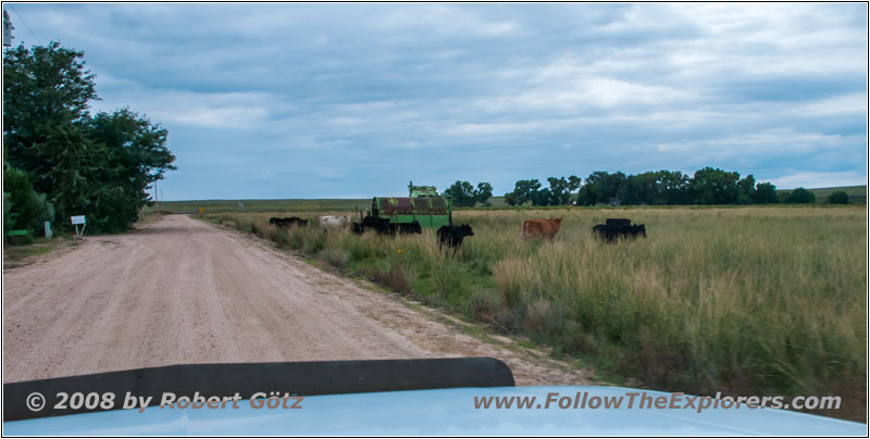 CR59, CO CR59, CO