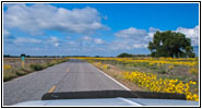 Highway 144, CO Highway 144, CO