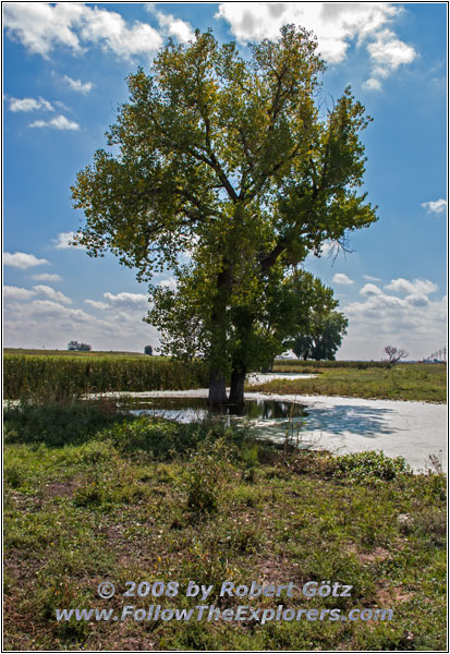 CR 40, CO CR 40, CO