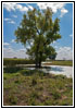 CR 40, CO CR 40, CO