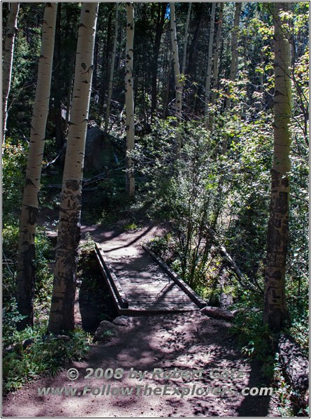 Devils Head Lookout Trail, CO Devils Head Lookout Trail, CO