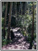 Devils Head Lookout Trail, CO Devils Head Lookout Trail, CO