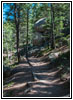 Devils Head Lookout Trail, CO Devils Head Lookout Trail, CO