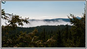Mt. Herman Rd/FR320, CO Mt. Herman Rd/FR320, CO