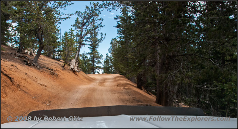 FR379/Frosty Park, CO FR379/Frosty Park, CO