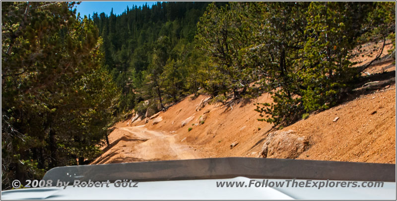 FR379/Frosty Park, CO FR379/Frosty Park, CO