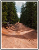 FR379A/Almargre, CO FR379A/Almargre, CO