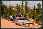 Smashed truck on FR379A/Almargre, CO Smashed truck on FR379A/Almargre, CO