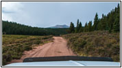 FR379/Frosty Park, CO FR379/Frosty Park, CO