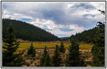 FR379/Frosty Park, CO FR379/Frosty Park, CO