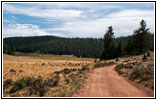 FR379/Frosty Park, CO FR379/Frosty Park, CO