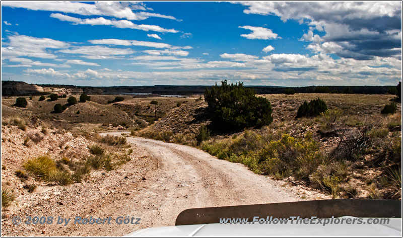 Swallows Rd, CO Swallows Rd, CO