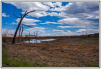 Swallows, CO Swallows, CO