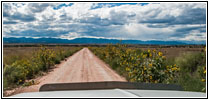 Pinion Rd, CO Pinion Rd, CO
