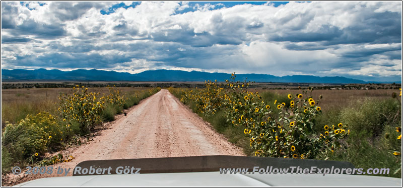 Pinion Rd, CO Pinion Rd, CO