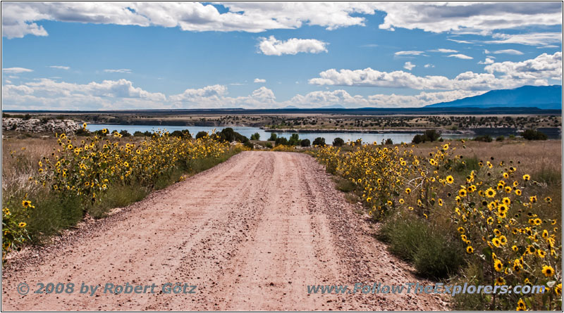 Pinion Rd, CO Pinion Rd, CO