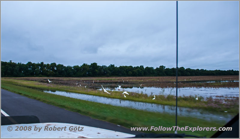S Yoder Rd, Highway 559, KS S Yoder Rd, Highway 559, KS