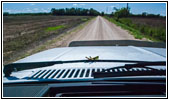 Grasshopper Valley Rd, KS Grasshopper Valley Rd, KS