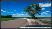 N Webb Rd, KS N Webb Rd, KS
