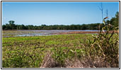 91st Rd, KS 91st Rd, KS