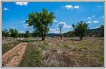 Picketwire Canyon Trail, CO Picketwire Canyon Trail, CO