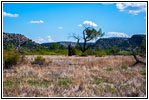 Picketwire Canyon Trail, CO Picketwire Canyon Trail, CO