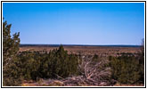 CR 165.4, CO CR 165.4, CO