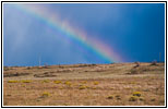 Pronghorn, Rainbow, Highway 325, NM Pronghorn, Rainbow, Highway 325, NM